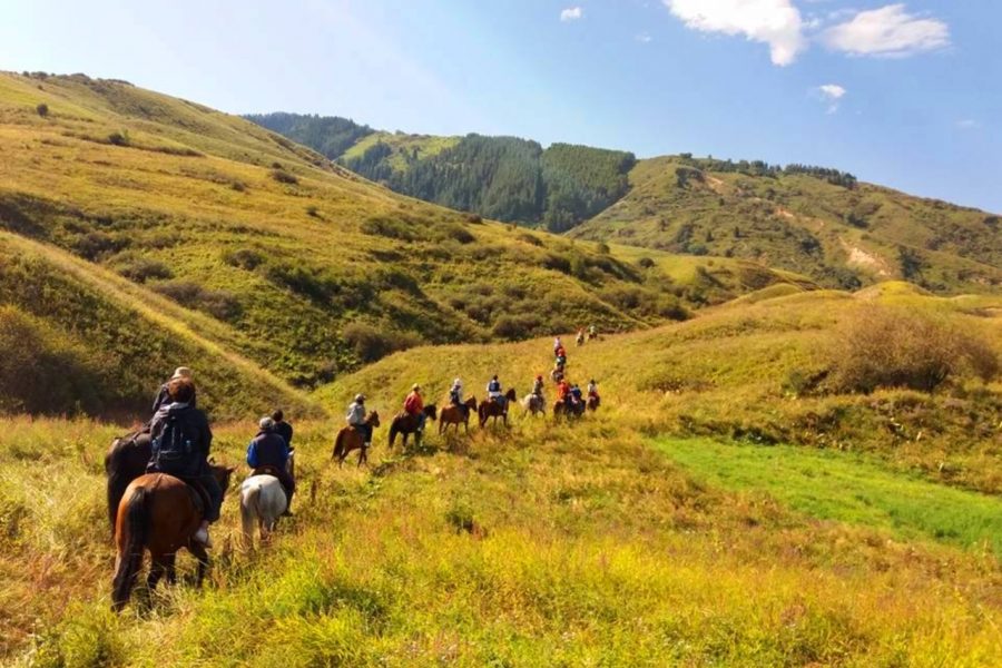 1-Day Escape to Chon-Kemin: Ride Through Nature’s Beauty on Horseback