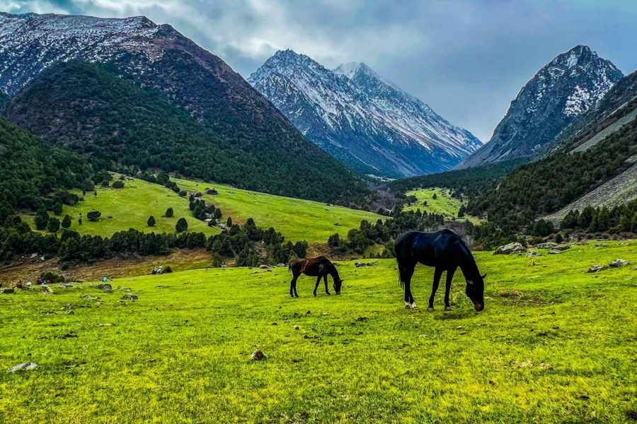 Day Trip from Bishkek: Explore Alamedin Gorge and Teke-Tor Waterfall