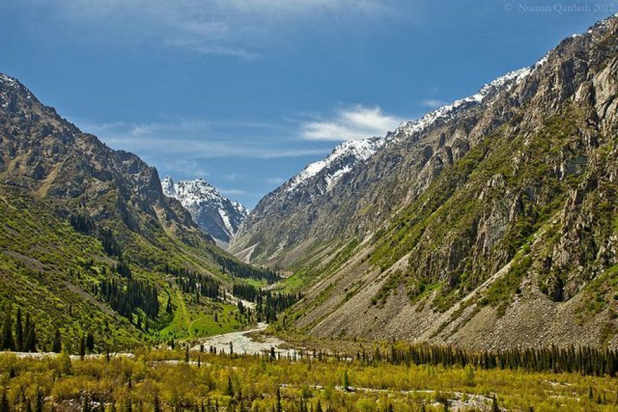 Full-Day Adventure: From Mountain Trails to City Streets